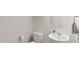 Clean powder room with white sink, toilet, and modern fixtures at 174 W Saint Andrews Dr, Zebulon, NC 27597