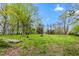View of the backyard featuring a grass lawn, scattered debris, and tree line under a blue sky at 229 Watson Dr, Burlington, NC 27217