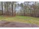 Spacious backyard with a well-maintained lawn and a backdrop of mature trees, ideal for outdoor activities at 3881 Whisperwood Ct, Youngsville, NC 27596