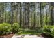 Backyard view from the patio offers a serene look at the lawn, trees, and black metal fence at 521 Rockcastle Dr, Cary, NC 27519