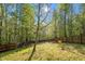 Spacious backyard featuring a playset, lush green grass, and a perimeter fence offers ample space for outdoor activities at 7221 Messenger Dr, Willow Springs, NC 27592