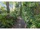 Natural walking path surrounded by lush greenery and mature trees, offering a serene escape at 1304 Deboy St, Raleigh, NC 27606