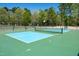Community pickleball court featuring a vibrant blue court surface with a green perimeter and black metal fence surround at 150 Big Horn Cv, Louisburg, NC 27549