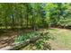 Landscaped backyard with fire pit and stone retaining wall offers a serene outdoor space at 2416 W Club Blvd, Durham, NC 27705