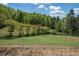 Scenic backyard with lush green grass, mature trees, and distant fencing at 3787 Pleasant Hill Church, Siler City, NC 27344