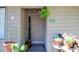Welcoming entryway with colorful flower pots and fern accents at 502 W Poplar Ave # C2, Carrboro, NC 27510