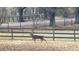 Pasture scene with a deer in the fenced-in field at 5212 Theys Rd, Raleigh, NC 27606