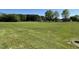 The home has a very large grassy backyard with a tree line at 70 Pate Landing Dr, Selma, NC 27576