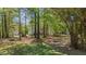 Picturesque backyard with mature trees providing ample shade at 720 Raymond Dr, Clayton, NC 27527