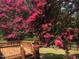 Wooden deck with stairs overlooking a backyard with grass and trees, some of which have bright pink blossoms at 801 Silver Leaf Pl, Raleigh, NC 27609