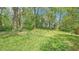Expansive backyard with lush green grass and mature trees, offering a serene and private outdoor space at 111 Dunstan Ave, Durham, NC 27707