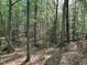 Wooded backyard featuring mature trees at 1425 Bascomb Dr, Raleigh, NC 27614