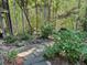 Serene wooded backyard with a stone pathway and various plants at 1425 Bascomb Dr, Raleigh, NC 27614