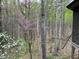 Secluded backyard view featuring mature trees and seasonal color at 1425 Bascomb Dr, Raleigh, NC 27614