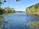 Scenic lake view framed by lush trees and greenery, providing a serene natural backdrop at 1425 Bascomb Dr, Raleigh, NC 27614