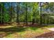 Picture of the backyard featuring a natural, wooded view with the green grass peeking through at 15 Pine Ridge, Pittsboro, NC 27312
