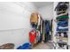 Walk-in closet with wire shelving and racks to maximize storage capacity at 214 S Camellia St, Chapel Hill, NC 27516
