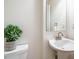 Clean bathroom with modern fixtures, a decorative plant, and a pedestal sink at 2213 Ravens Creek Ct, Raleigh, NC 27603