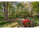 Landscaped backyard with mature trees, blooming azaleas, and a well-maintained lawn at 2221 Dungiven Ct, Garner, NC 27529