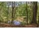 Scenic view of a tranquil pond surrounded by lush trees, providing a serene and natural setting at 2221 Dungiven Ct, Garner, NC 27529