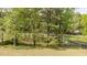 Scenic backyard view with lush greenery and mature trees at 4228 Nc 42 Hwy, Raleigh, NC 27603