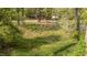 Backyard view with mature trees and natural surroundings at 4228 Nc 42 Hwy, Raleigh, NC 27603