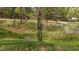 Backyard view with mature trees and natural surroundings at 4228 Nc 42 Hwy, Raleigh, NC 27603