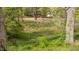 Scenic backyard view with lush greenery, mature trees, and natural surroundings at 4228 Nc 42 Hwy, Raleigh, NC 27603