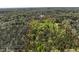 Breathtaking aerial view of a vast forested property with mixed trees in varied shades of green at 605 Faucette Mill Rd, Hillsborough, NC 27278