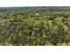 Picturesque aerial view capturing lush greenery, mature trees, and overall serenity of the property at 605 Faucette Mill Rd, Hillsborough, NC 27278