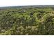 Expansive aerial view showcasing the properties lush surroundings, mature trees, and abundant greenery at 605 Faucette Mill Rd, Hillsborough, NC 27278