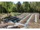 Garden with rows of plants covered in plastic and mulch, enclosed by a wired fence at 605 Faucette Mill Rd, Hillsborough, NC 27278