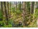Scenic backyard featuring a tranquil stream surrounded by lush greenery and mature trees at 6105 Bellow St, Raleigh, NC 27609