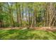 Grassy backyard with a chain-link fence and mature trees at 6105 Bellow St, Raleigh, NC 27609