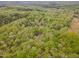 Stunning aerial perspective highlighting the property's secluded location and verdant landscape at 1011 Wood Sage Dr, Chapel Hill, NC 27516