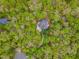 Aerial view showcases the home nestled among lush greenery and mature trees at 1011 Wood Sage Dr, Chapel Hill, NC 27516