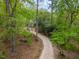 View of the driveway leading to the secluded home surrounded by mature trees and lush foliage at 1011 Wood Sage Dr, Chapel Hill, NC 27516