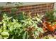 Close-up of a healthy rose bush with buds, enhancing the garden's beauty at 1127 Woodlands Creek Way, Apex, NC 27502