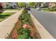 Landscaped street flower bed shows care and attention to detail, enhancing curb appeal at 1127 Woodlands Creek Way, Apex, NC 27502