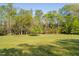 Lush green backyard featuring mature trees and ample open space at 1601 Dairyland Rd, Chapel Hill, NC 27516