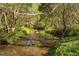 Scenic view of a creek surrounded by dense greenery and trees at 1601 Dairyland Rd, Chapel Hill, NC 27516