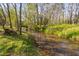 Picturesque creek flowing through a lush, wooded area at 1601 Dairyland Rd, Chapel Hill, NC 27516
