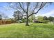 Large backyard with lush lawn, mature tree, storage buildings, and wooden fence at 205 W Moore St, Apex, NC 27502