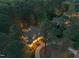 Aerial view of a grand estate nestled among trees, featuring a circular driveway and manicured landscaping at 3016 Allansford Ln, Raleigh, NC 27613