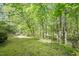 Lush backyard featuring a mossy lawn and bordering woods, offering a private, nature-filled setting at 407 Gooseneck Dr # A2, Cary, NC 27513