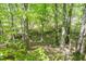 Backyard aerial view of the lush, wooded backyard at 407 Gooseneck Dr # A2, Cary, NC 27513