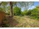 Spacious backyard with mature trees, picnic table and bench creating a serene and relaxing outdoor space at 509 N Elm St, Benson, NC 27504