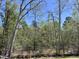 Serene wooded backyard, highlighting the natural beauty and privacy of the property at 1075 Fairhaven Dr # 51, Mebane, NC 27302