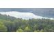 Scenic aerial view of a forested area with a glimpse of a lake at 2328 Ballywater Lea Way, Wake Forest, NC 27587