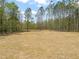Large lot showcasing a wooded area, great for privacy and nature enthusiasts at 250 Pilot Ridge Rd, Zebulon, NC 27597